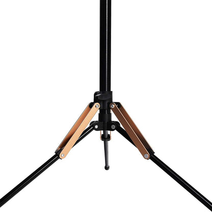 Support d'éclairage de photographie portable et léger en alliage d'aluminium de 75 pouces / 6,3 pieds pour studio photo, éclairage photographique, boîte à lumière, flash vidéo, parapluies YouTube avec sac de transport 