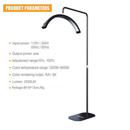 Fosoto FT-Y8II Half Moon Salon Lamp